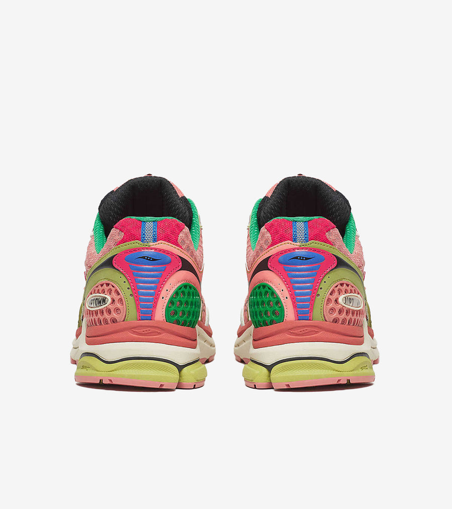 Saucony ProGrid Triumph 4 Jae Tips Flowers Grow Uptown Virginia Creeper 4